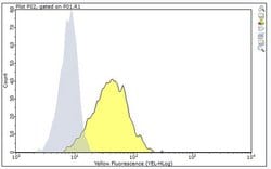 FcRH5, Mouse anti-Human, Clone: F25, Millipore Sigma 100&mu;g; Unconjugated:Antibodies,